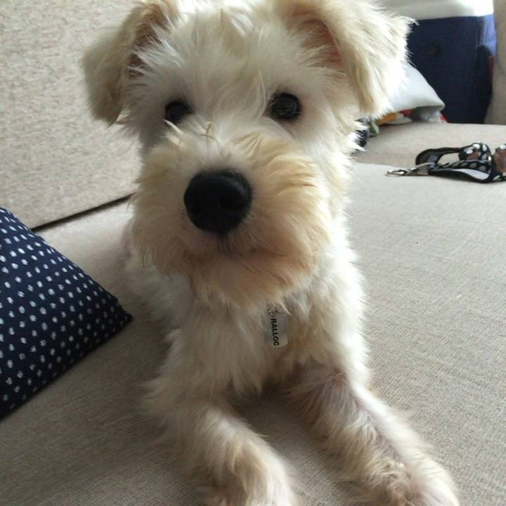 E3dd3f61 f2db 4426 8b37 e429977fc690