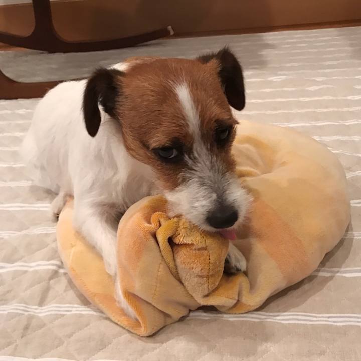 E3dd4f6d dc1d 44ee 8714 e6b1076d01bf