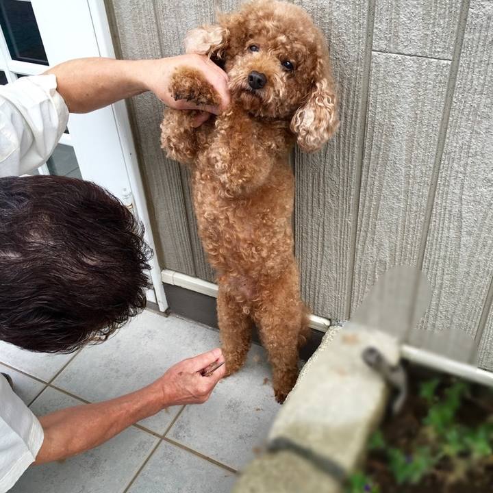 E3dd89db b3a0 4b93 88b8 10bb4702d33c