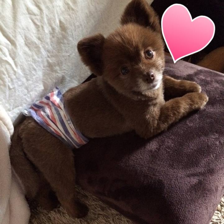 E3dda648 53a3 44fc b2ec 7fb9fa828b01