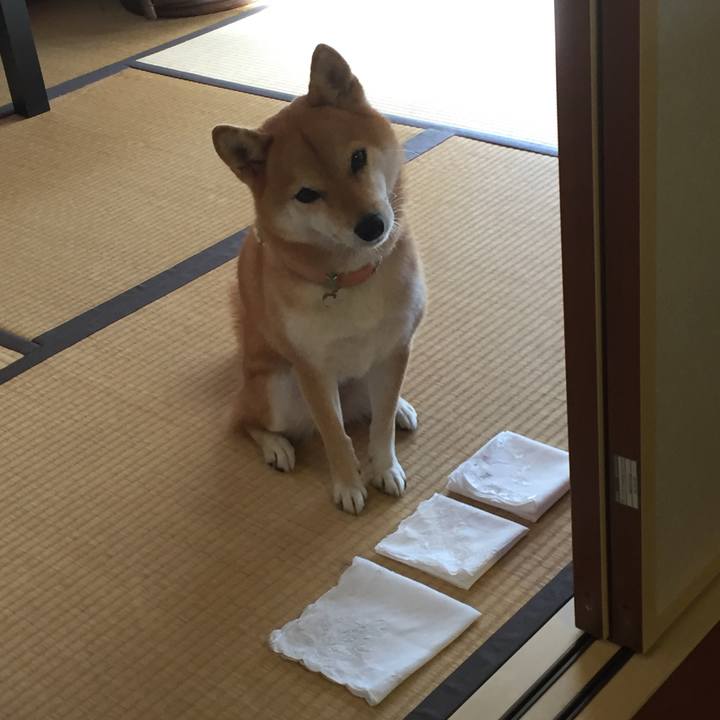 E3df0127 e784 42ac 918c 2bfc4c3fe967