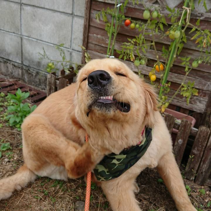 E3df1001 32b7 4c5f a547 d11a8e4303c1