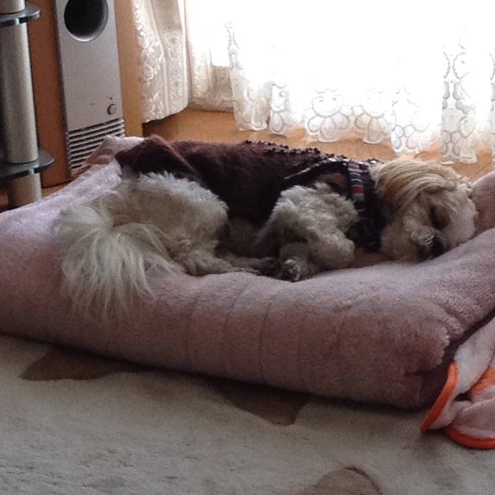 E3df36b4 efb2 4d48 8885 099ec27a3189