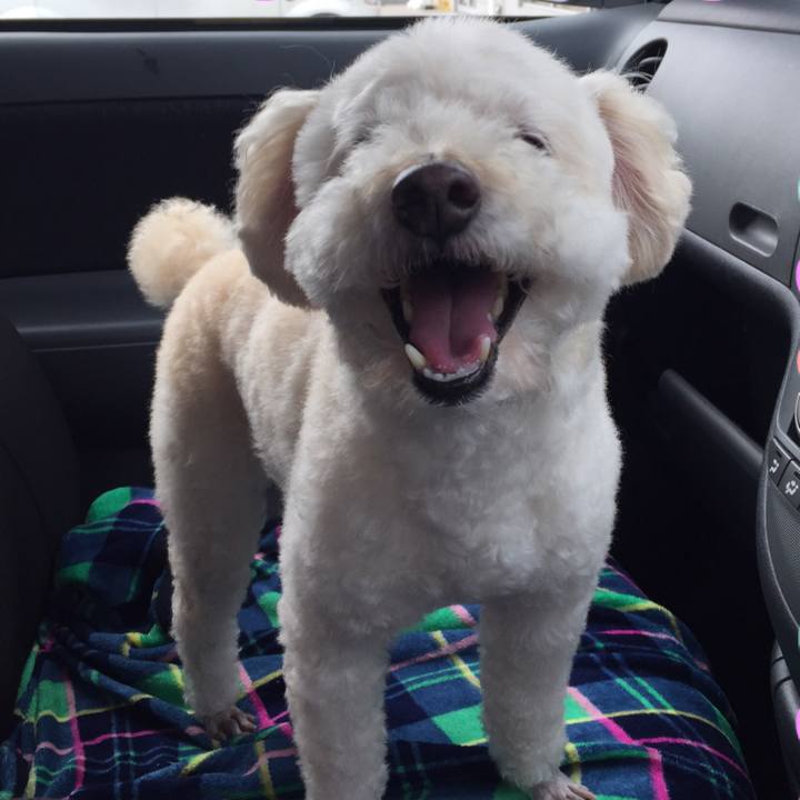 E3df4396 449d 468d af31 cda0dfd3550c