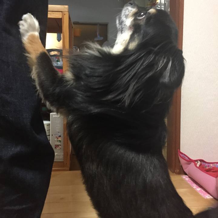 E3df733a 8d76 4b23 9ab2 d2a9ed55f33e