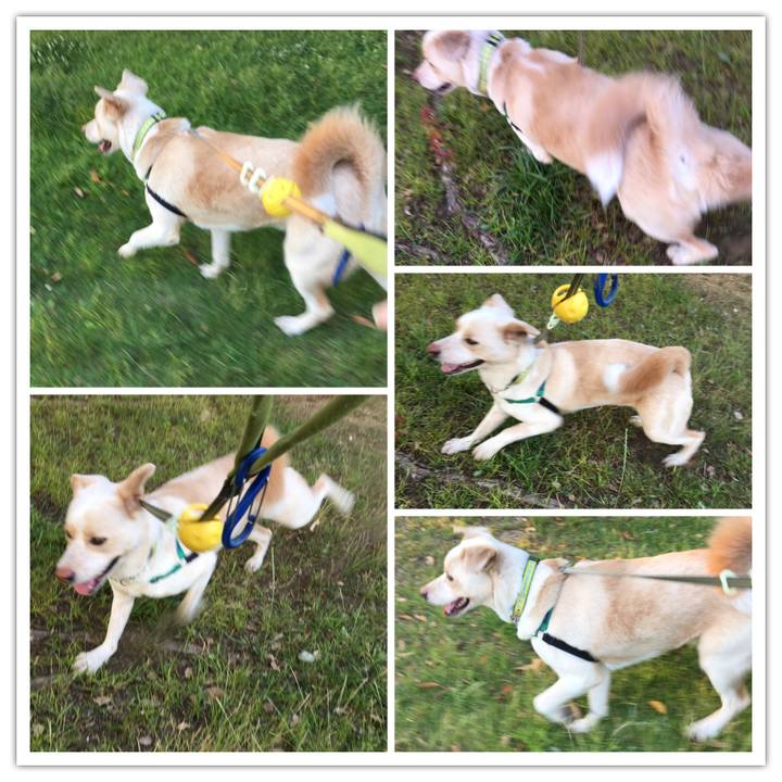 E3dfa72a c02c 4455 b8d4 9c8e7e7879ec