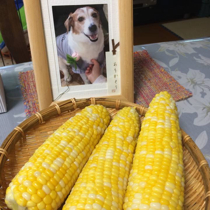 E3e008b3 9690 4bd5 a62c ec8aae5caea2