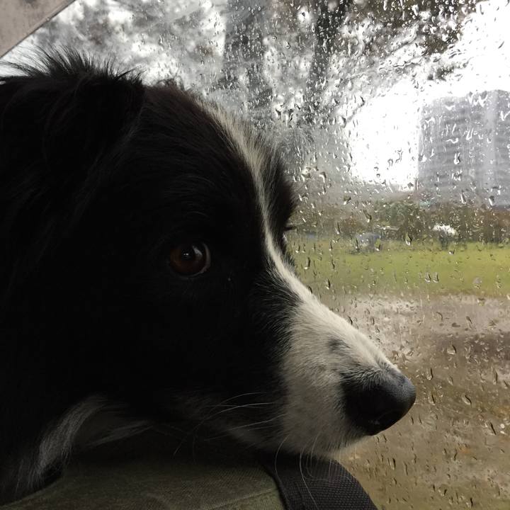 E3e01dc1 3afa 4a22 8ebf 4f16d4868950