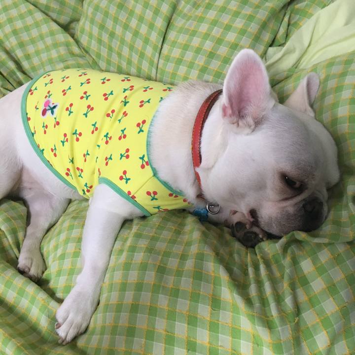 E3e0240e f35e 4612 9a28 dc43d3484128