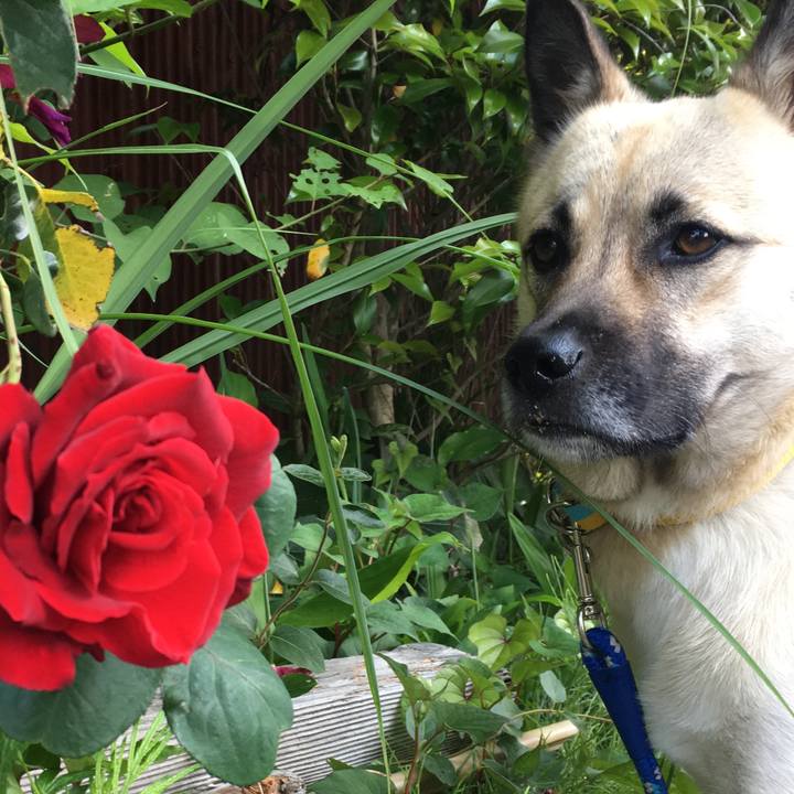 E3e06d27 80e8 4272 b6e7 09d82c75b02e