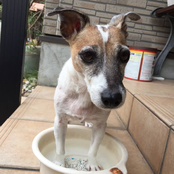 E3e0e01f c08f 4e8e 980c 8692def673b5