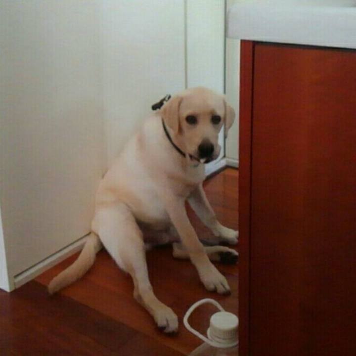 E3e0f654 e301 44de 8e72 3e5355f536d2