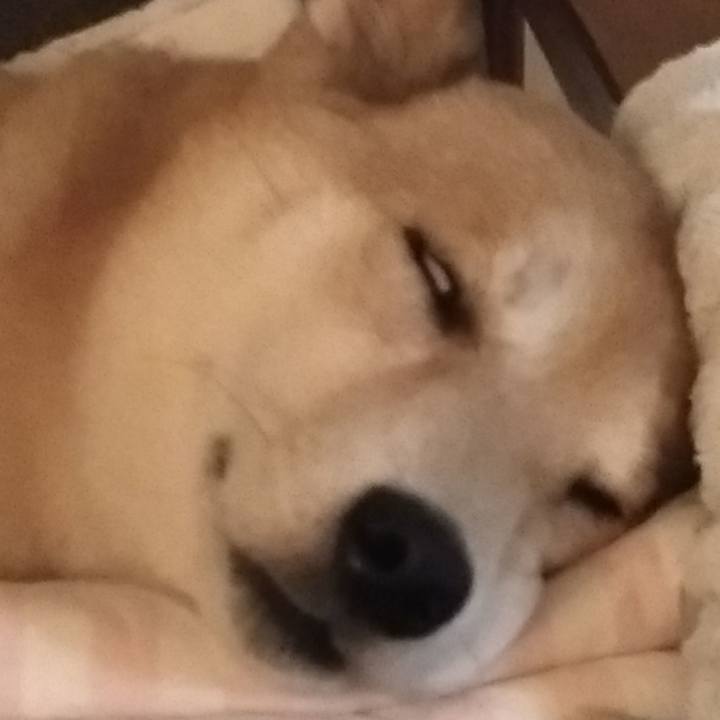 E3e0fe89 bab7 46bd b1bd cc300b539701