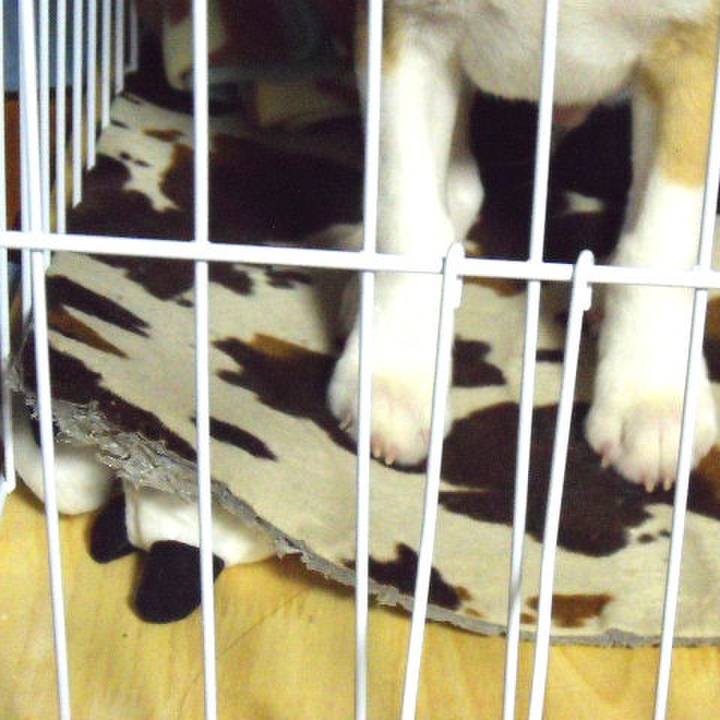 E3e1509d a276 483f aa30 45a371f72856