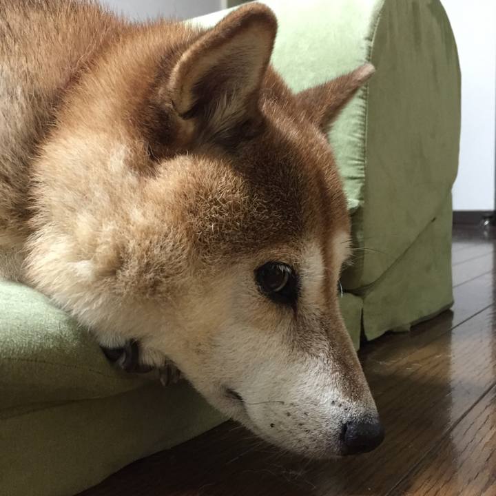 E3e1b8a8 d2c3 4fc8 8179 6fd5f41e0aa3