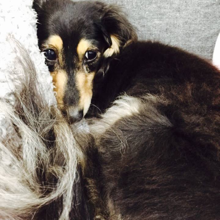 E3e1bf06 6533 4efe 8eea f30e912631c3