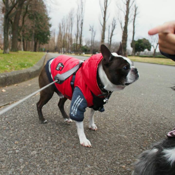 E3e31705 3367 4d1c b816 d76e8374359d