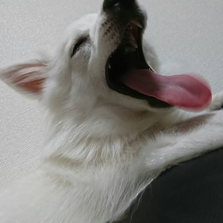 E3e31eda 852e 4060 98b8 a880d56f70b9