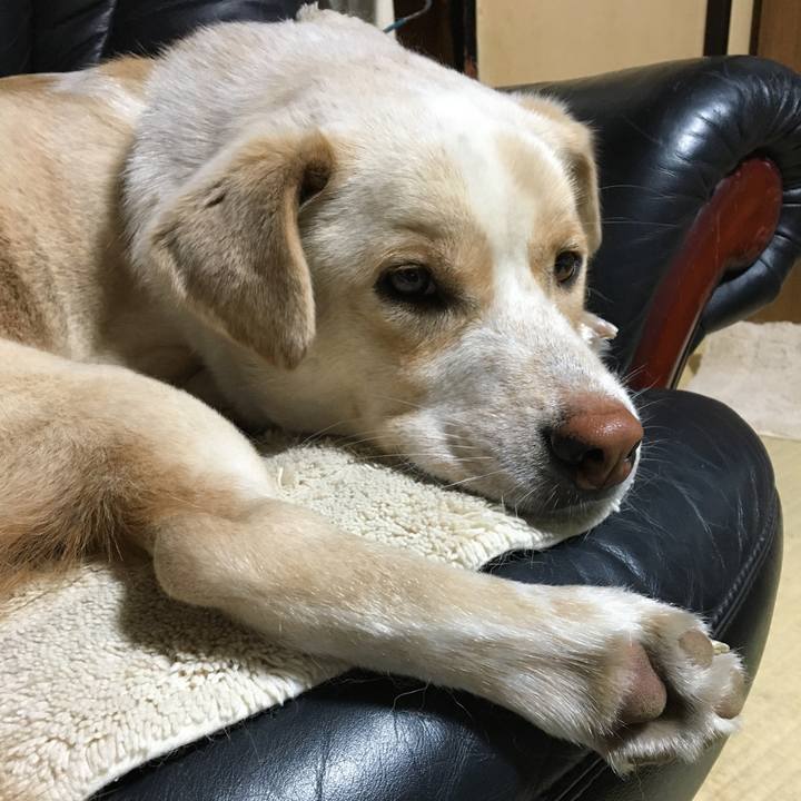 E3e377f0 c66c 4697 b0e5 2af832b6ba55