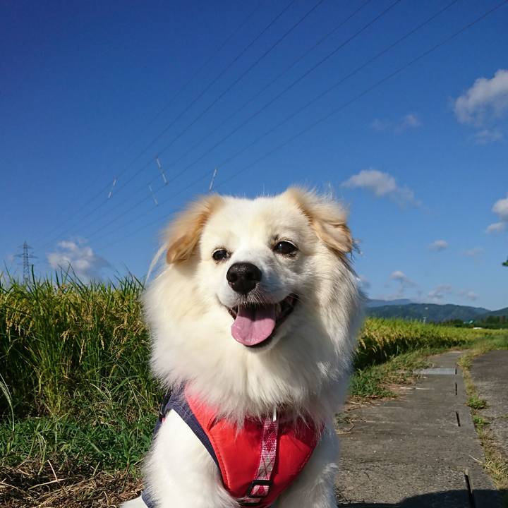 E3e3e91c e784 4383 a365 444d5071202a