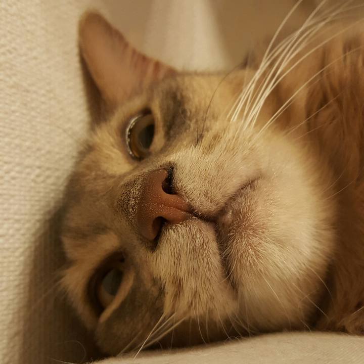 E3e49b3a 4869 4c28 a934 70f94ffd64ef