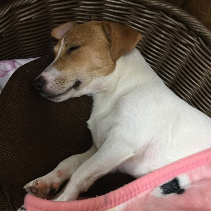 E3e5c747 285e 4add b3bf b7965b0671aa