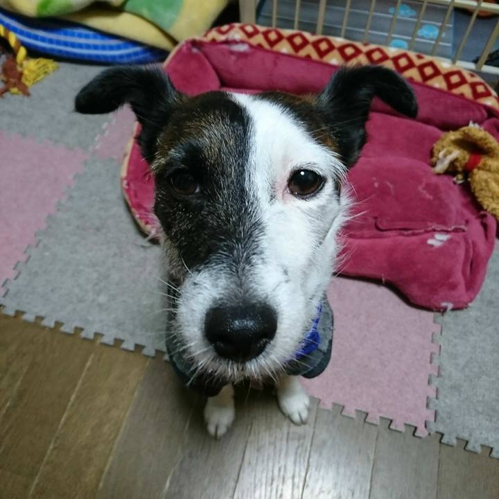 E3e5d771 4c4c 43a3 8db4 0281d86b3c47