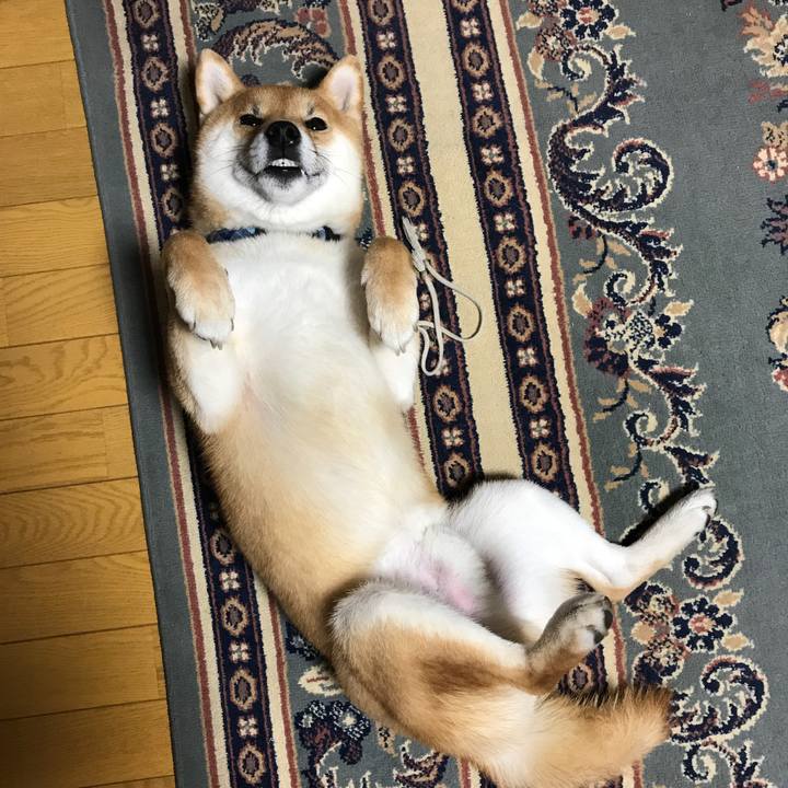 E3e6a36b 4688 4ba5 816b 701d1e60996d