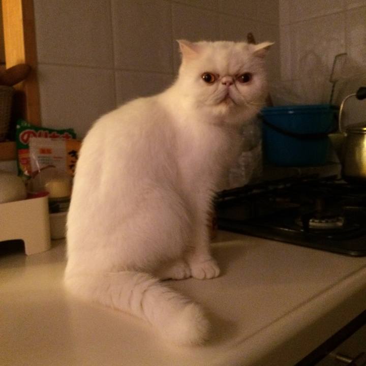 E3e6ade2 2e13 4ecb 94d1 c28f6d969563