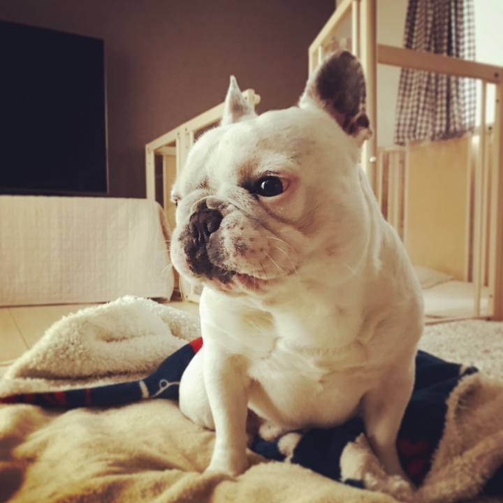 E3e712f0 aee5 4c73 98a4 c70d9f2ec016