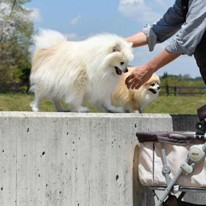 E3e7278a 3f8a 46c1 ae3d 52a2ec34e008