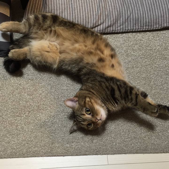 E3e787fe db60 4af8 a55b 29dc21db1c8b