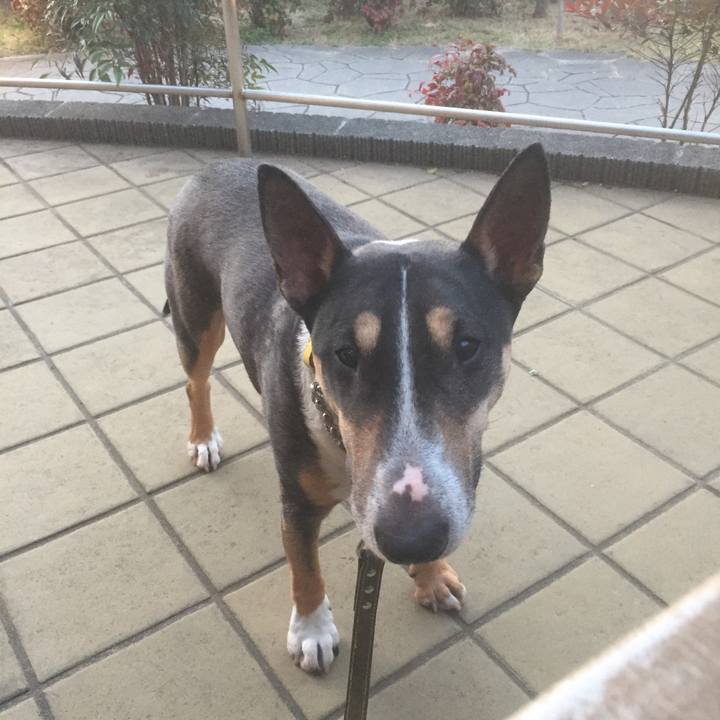 E3e7a8f0 f9a8 44d8 9268 d79732154b5c