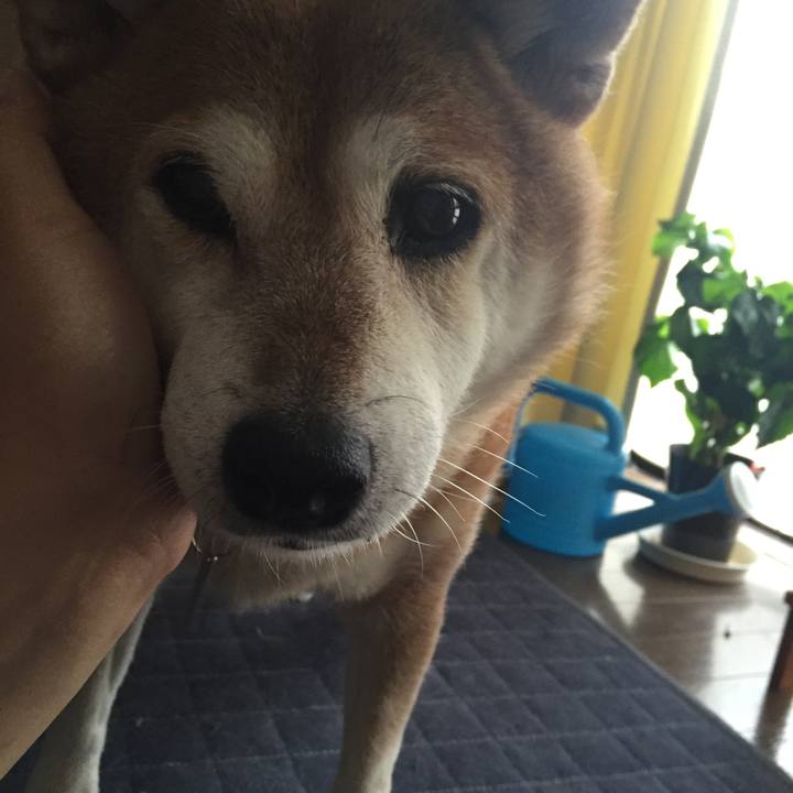 E3e7bbde 697f 42d1 96b0 afac3dc60331