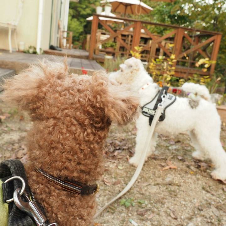 E3e850c5 35b2 408b 9d58 61b091ceb2dc