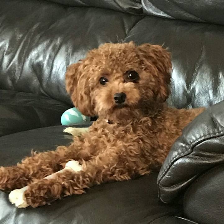 E3e87b4e 9354 495c 9179 2d0703e282e6