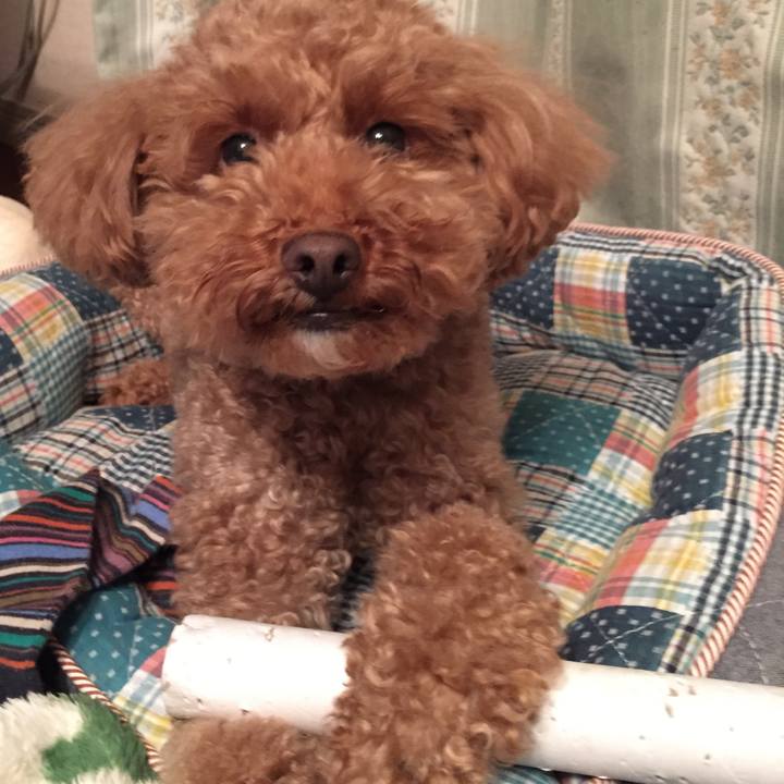 E3e9395f cbf5 43d5 aefd 71453805db01