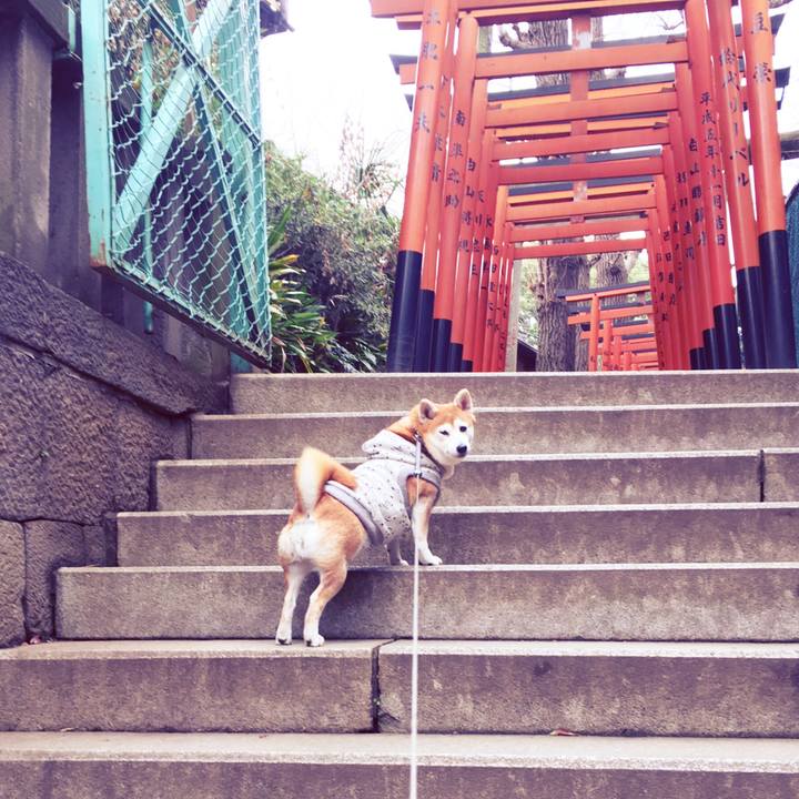 E3ea7b05 c9fa 4675 8566 201fbd16f9d0