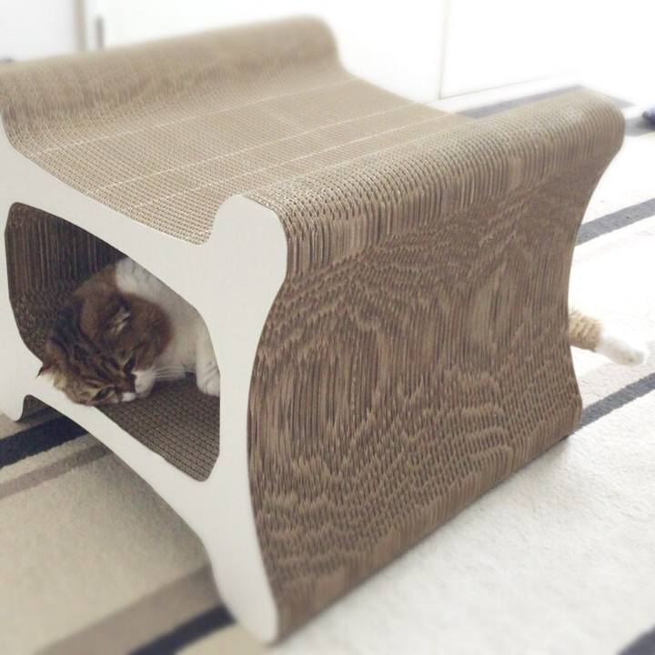 E3ec41be dbe5 4903 a298 96646059326e