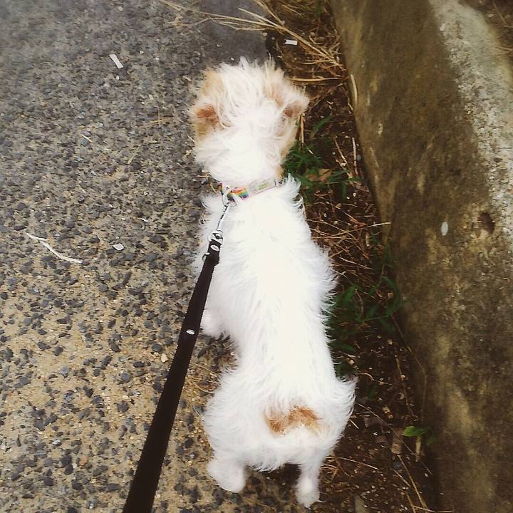 E3ec9d46 79ca 4696 8d07 87d64ab84cf7