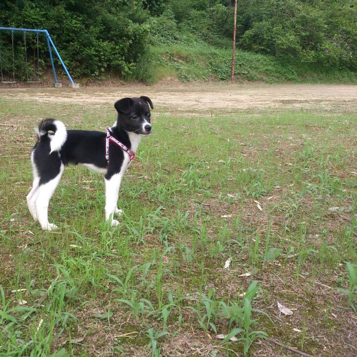 E3eca9fa 8152 48cc 904b 084b059a6b88