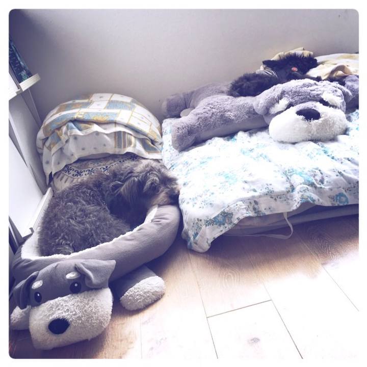 E3edc77d d7f5 4d44 8938 db0aa6f5102e