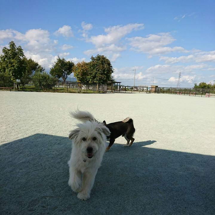 E3ee134f 9eb2 4073 88aa 295fa8a538d3