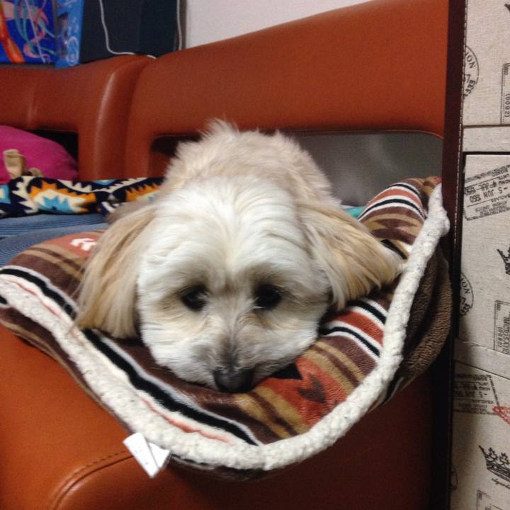 E3ee6226 712f 470a ab8a 4f924c685a34