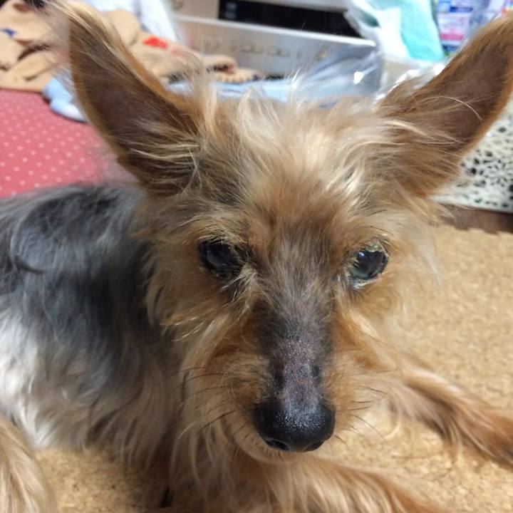 E3ee77d2 65ad 4619 8844 94f1c10cb4ad