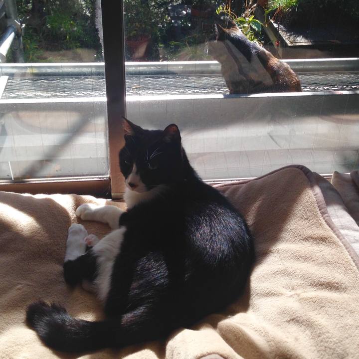 E3effe62 4422 4440 a9d1 346c0621a32e