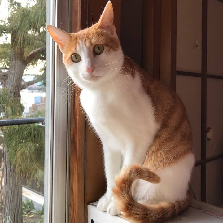 E3f0d9dc 18ef 47e7 bafa 556ccb5907bc