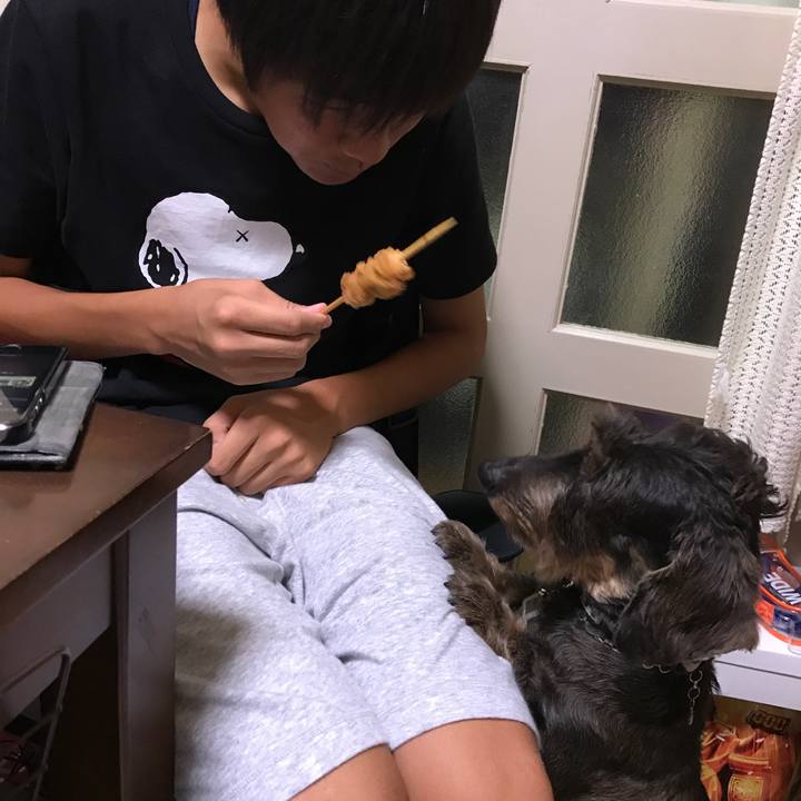 E3f14dd8 64d4 423f 835f 21b1f4c40501