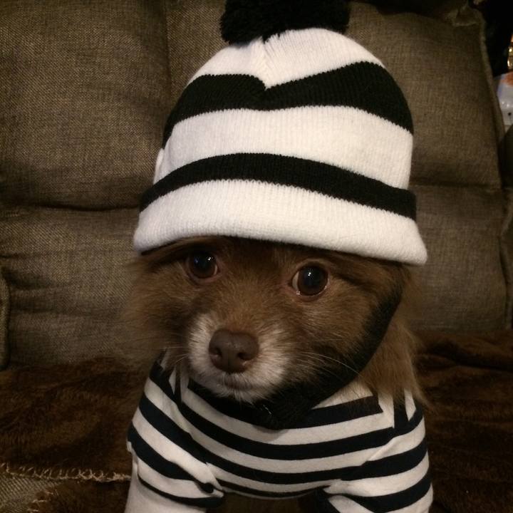 E3f15650 81ee 45e7 9334 a0875107f204