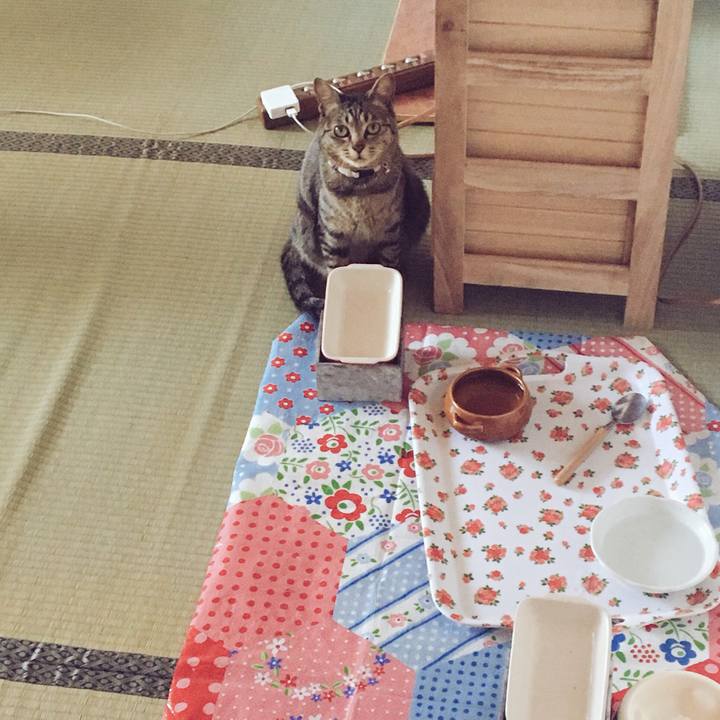 E3f15a23 ba9c 4022 9d77 747e59efdd09